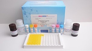 Ascorbic Acid Assay Kit